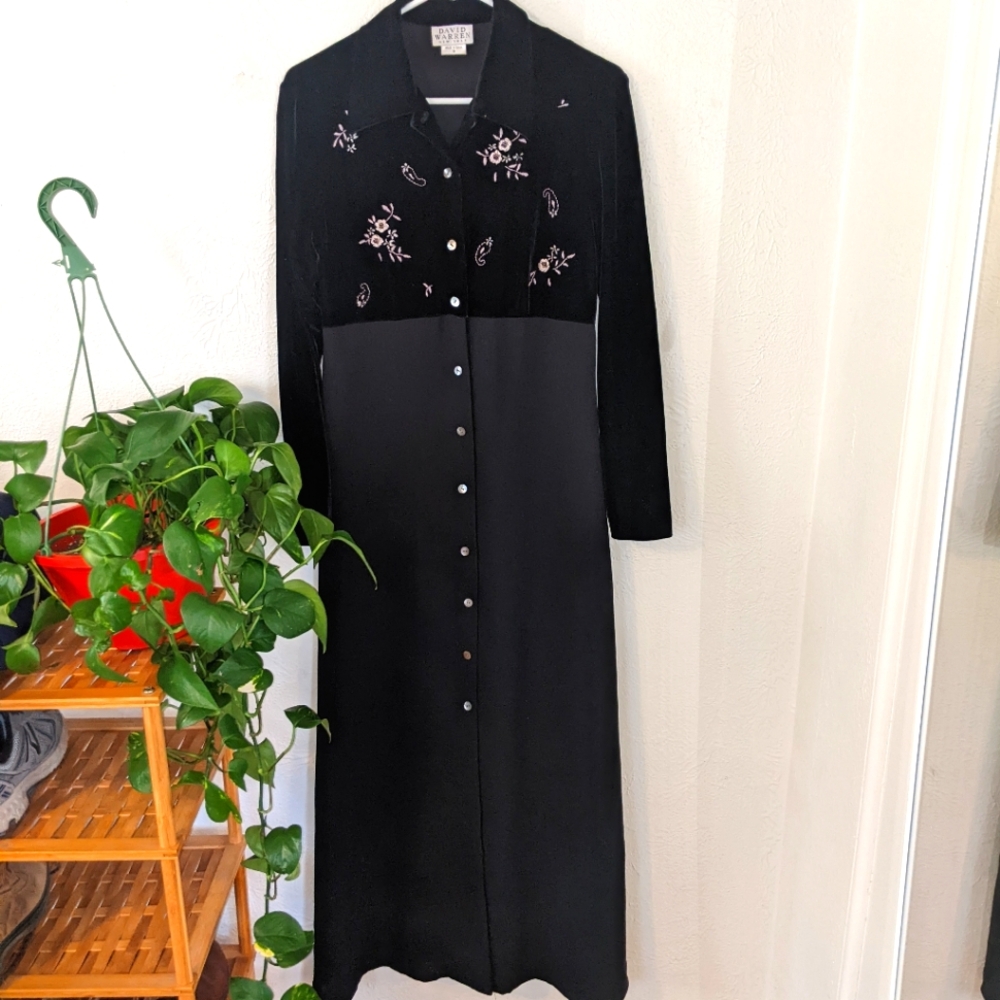 Vintage Velvet Dress
